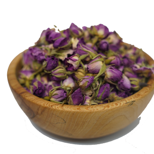 غنچه گل محمدی